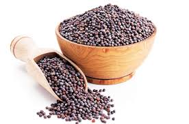 Mustard Seed (பெரிய கடுகு) 100g