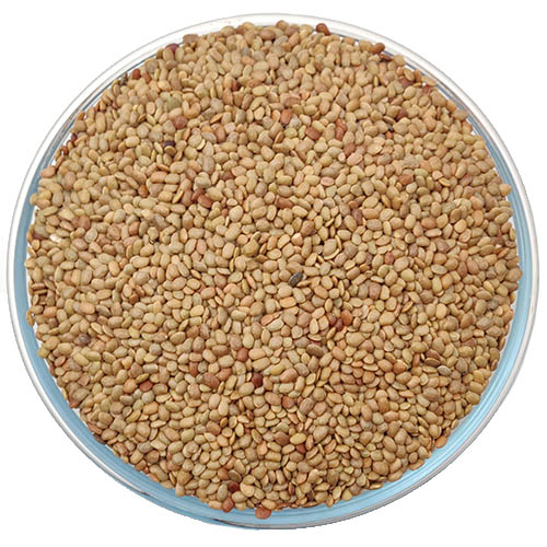 Horse Gram (kollu) கொள்ளு 1KG