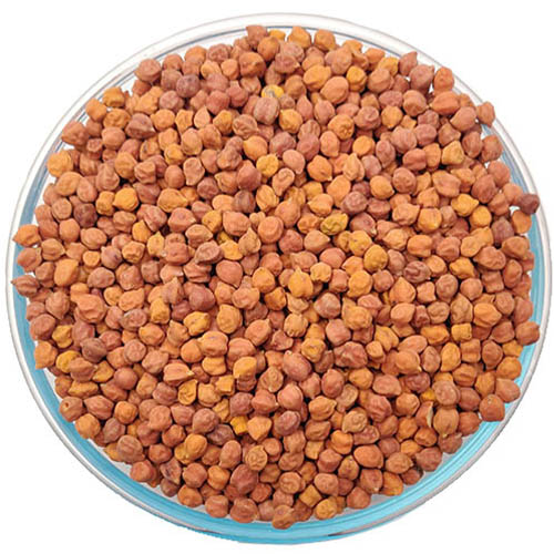 Channa Red சிவப்பு கொ.கடலை